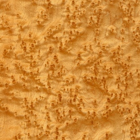 Birds Eye Maple